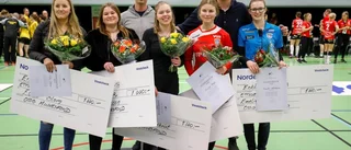 Hedrar handbollsprofilen med nya stipendier ur minnesfonden