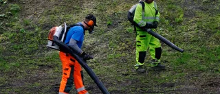 Oljud från lövblås förundrar • "Vad är det med män och motorer?" • "Lekte med gasreglaget som pojkar gör med mopeder"