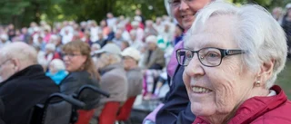 Flottan intog Stadsparken