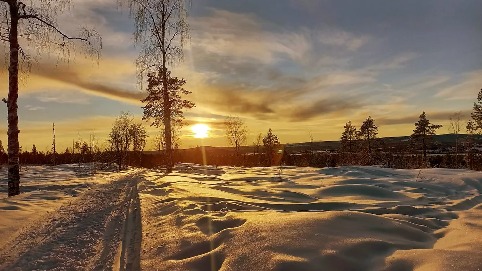 Guldig vandring. Anki Flygare-Nilsson från Boden tog vara på det lilla solsken som januari hittills har bjudit på. "Som att vandra i guld på bergen i Boden den 10 januari, helt fantastiskt", skriver hon.