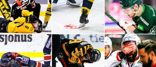 Måste fler dö innan det blir gallerkrav även för män i ishockey?