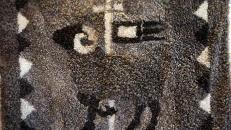 Hemtam. Gotlands symbol i passande miljö - en fäll av lammskinn.