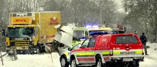 Hästsläp i krock med lastbil