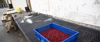 Bärföretagare häktas för människoexploatering