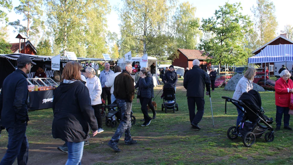 Allt från kläder till karameller kommer att säljas på Målilla marknad, som arrangeras nu på lördag i hembygdsparken.