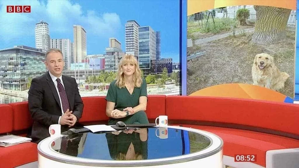 Indy, 3 år, blev världskändis och har fått hälsningar från både England och Malaysia.