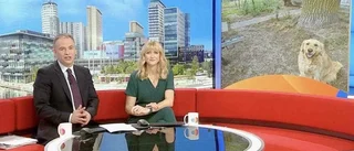 Hunden Indy, 3 år, i Klintehamn gjorde succé i brittisk tv