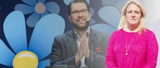 ”Kom ihåg att SD-regeringen är en majoritetsregering” 