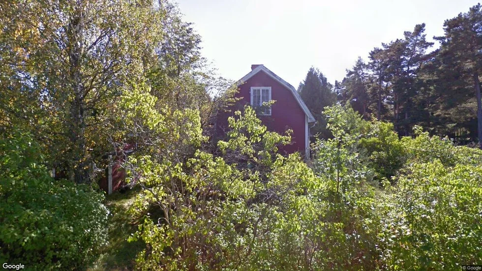 Örtomtaslingan 2