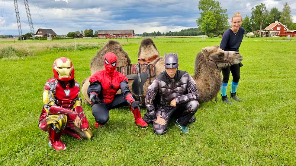 Laget Pinnauers hjältar lyckades hitta en kamel.