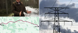 Starkt motstånd mot nya luftledningen: "Dialogen har varit usel"