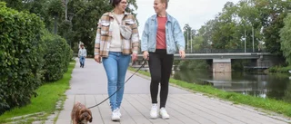 Hjärta för LHC – och för varandra: "Bryr mig mer"