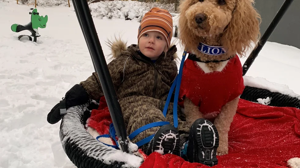 Femårige Vincent tillsammans med sjukhushunden Luna utanför Akademiska Sjukhuset i Uppsala. Hunden håller honom lugn under läkarbesök där han behandlas för flera olika hjärtfel. 