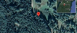 Nedfallna träd påverkar trafiken