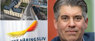 Borg: Vi arbetar på bred front för att förbättra företagsklimatet