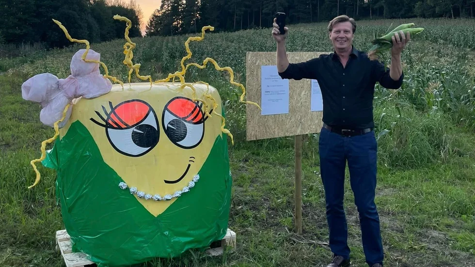 Den allra först kunden som dök upp redan under torsdagskvällen för att plocka lite majs.