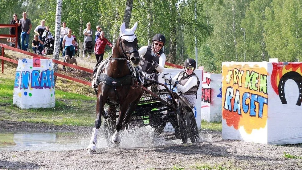 Sportkörning består av tre olika grenar - maraton, dressyr och precision, där poängen från de olika delmomenten räknas samman. Maraton är ponnyn Myrans paradgren. "Där är hon urstark", säger Johny Sjödin.