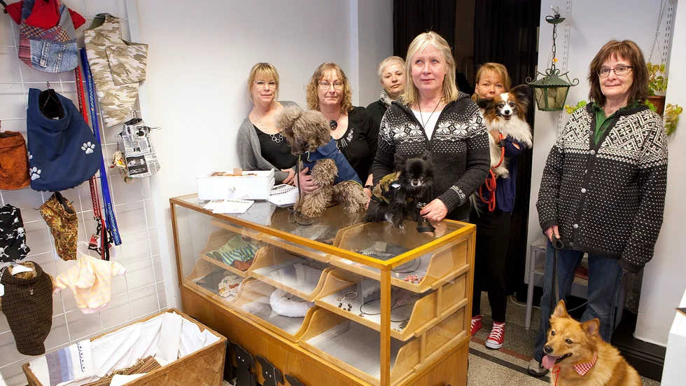 På Drottninggatan i Katrineholm fanns en butik där bland annat kläder för vovvar såldes. Den 1 mars 2012 var Anette Sköld, Mia Rangstedt, Mencia Isakovic, Lena Olsson, Anno Kevele och Barbro Arvidsson där med sina hundar. Hundarna heter Rambo, Findus, Rasmus och Chira. 