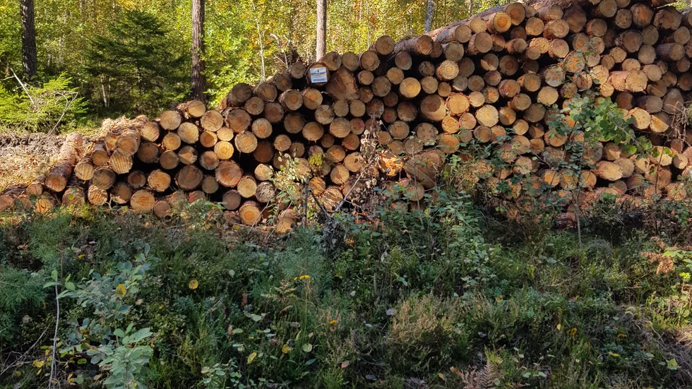 "Nackdelen med denna storskaliga skötselåtgärd är att den över stora arealer riskerar ske på bekostnad av en rik biodiversitet" skriver insändarskribenten.