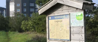 ”Vi behöver Hjördis Scen - en musikscen på Galgberget”