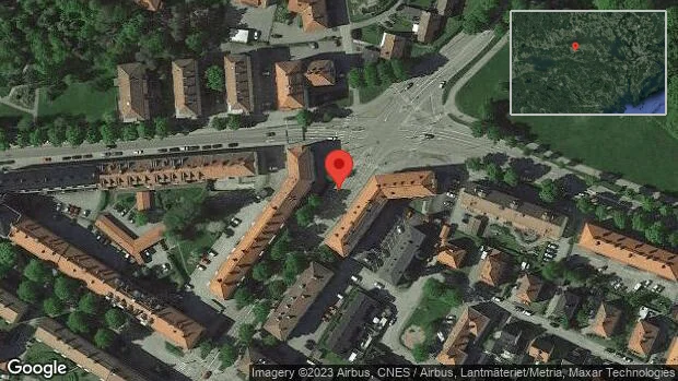 Älg på vägen på väg 53