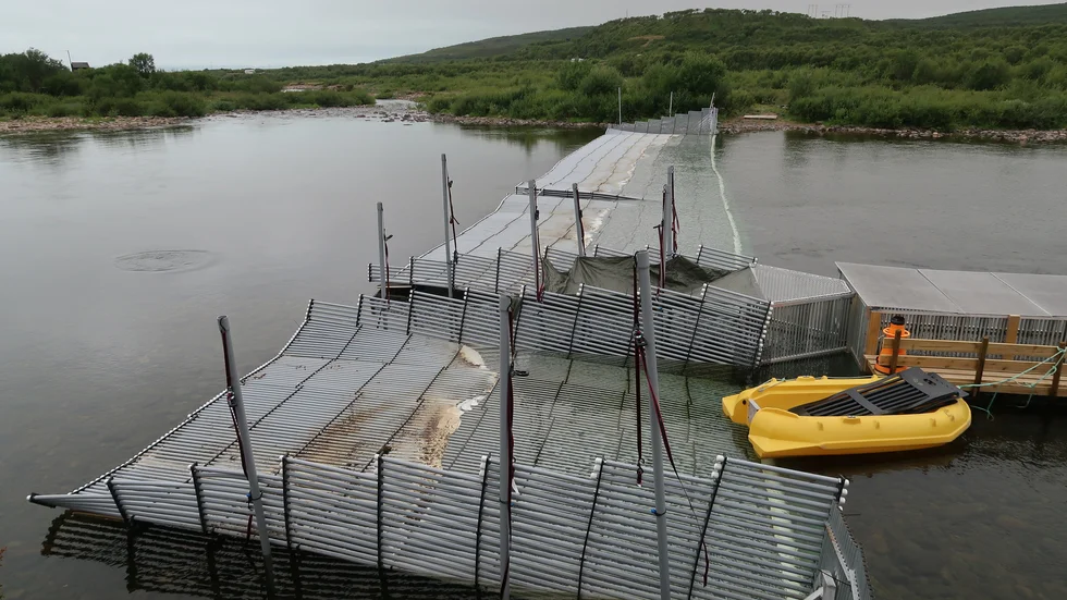 Fälla för puckellax i Vestre Jakobselv i Finnmark, Norge.