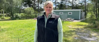 Hundexperten Susanne om attackerna: "Måste hitta orsaken bakom"