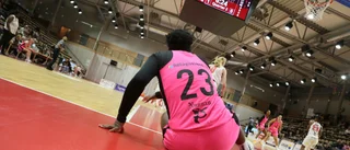 Kan bli en ny tung säsong för Visby Ladies