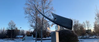 Dagens läsarbild: Konst i Norra hamn
