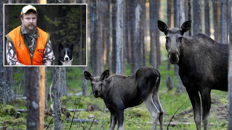 Björn Sundgren, jaktvårdskonsulent vid Svenska jägareförbundet i Norrbotten.