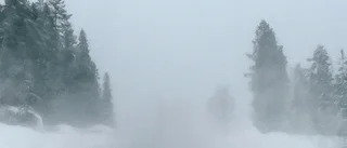 More snow and wind batters northern Sweden