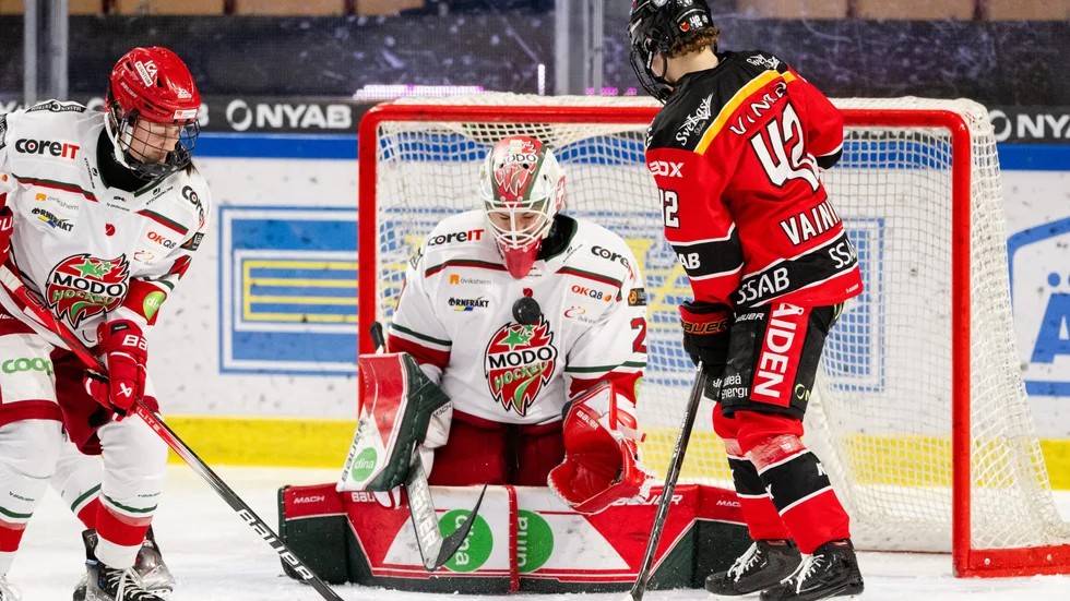 Luleå Hockey/MSSK mot Modo i SDHL.