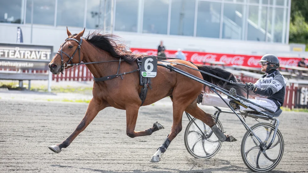Hugo Lundgren, här från en tävling på Skellefteåtravet, ska på lördag få ta emot ett fint pris.