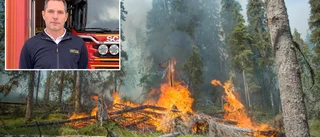 Här brann mest skog i Norrbotten