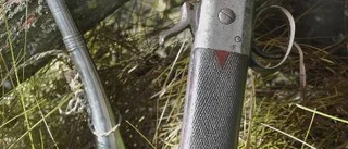 Naturens vilda smaker