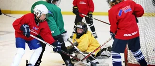 NHL-meriterad tränare till Graips hockeyskola