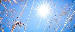Nu kommer sommarvärmen!