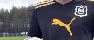 Gullringen värvar från Polen