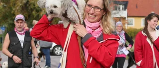 Rosa hundpromenad mot cancer