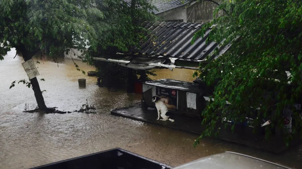 Oväder. Ett omfattande monsunregn har dragit in över Thailand.
