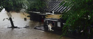 Motalabon mitt i regnkaoset i Thailand