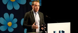 SD – ett läckande paraplyparti