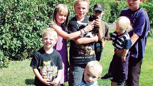 I Tigerstad utanför Mörlunda kan man bo på lantgård. Här finns gott om kaniner, kossor, höns och katter. Barnen trivs utmärkt i den lantliga sommaren.