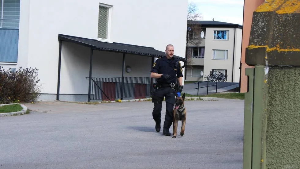 Polisen sökte av området med hund efter mordförsöket i Motala under torsdagen.