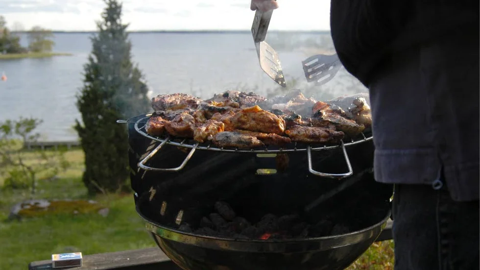Bakterier. Det är viktigt att hetta upp kyckling för att inte drabbas av magsjuka.