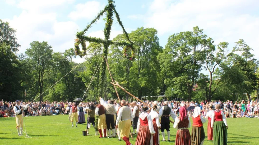 Snart på plats. Midsommarstången restes under pampiga former.