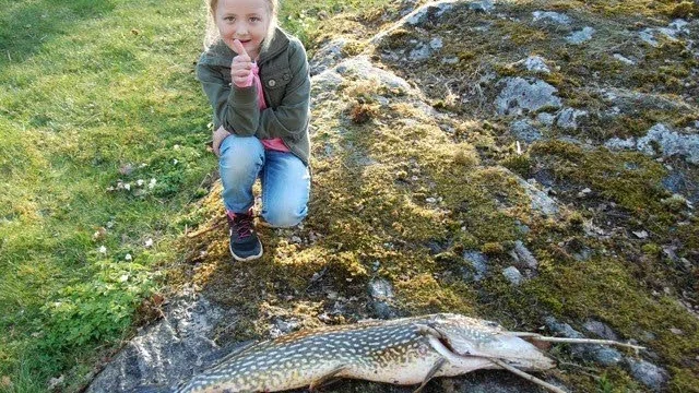 Andra gången Hedda Engström fiskar får hon upp rena monstergäddan i Sämsjön i Västergötland.