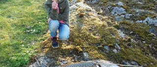 Liten fiskare tog upp storfångst