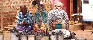 Vill förlänga utbyte i Kenya