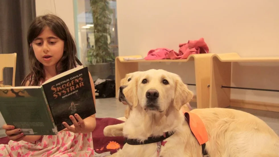 Högläsning. Lina Amir Farid, nio år läser högt för läshundarna Lisa och Leia ur en bok av Petrus Dahlin. " Jag har läst hans böcker i skolan förut, säger Lina".
